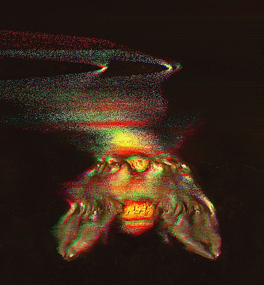 Die Fliege, wir und die Kunst 4 Holy Fly fading by Jan Olschewski
